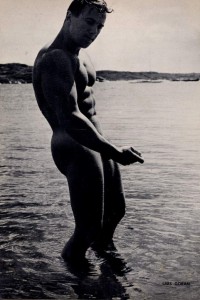 handsome scandinavian bodybulder