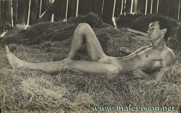 Bodybuilder Marc Laramie by Gerald Desfosses