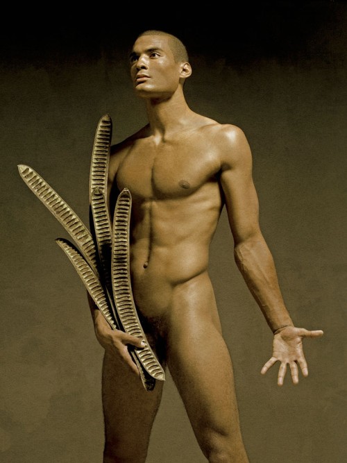 david vance jungle fever